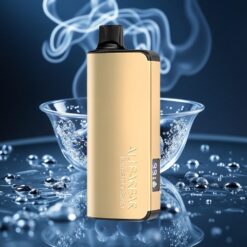 Alibarbar Ingot 9000 Züge 2350mAh Einweg-Vape Blaubeer-Geschmack