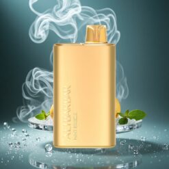 Alibarbar Rich 8000 Züge Einweg-Vape Minzbrise