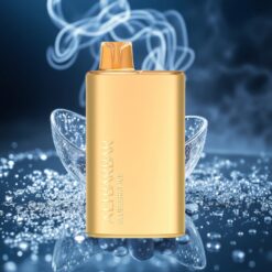 Alibarbar Rich 8000 Züge Wegwerf-Vape Blaubeere-Eis 2000mAh