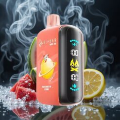 ELF BAR RAYA D3 25000 Puffs Wassermelone Zitrone wiederaufladbar 850mAh