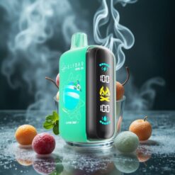 ELF BAR RAYA D3 25000 Puffs Wegwerf-Vape Alpenminze 23ml